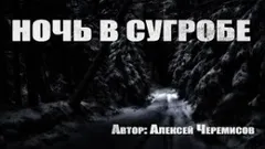 Ночь в сугробе (Ночёвка)