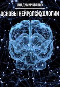 Основы нейропсихологии