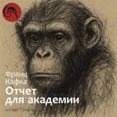Отчёт для академии