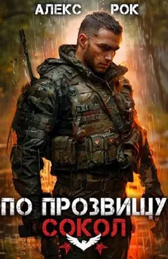 По прозвищу «Сокол». Том 1