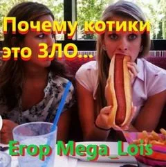 Почему котики-это зло