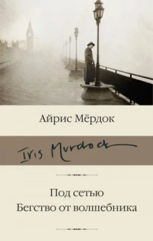 Под сетью. Бегство от волшебника
