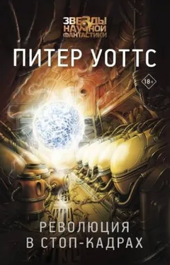 Подсолнухи: 2. Революция в стоп-кадрах