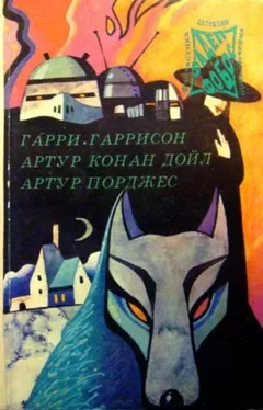 Погоня