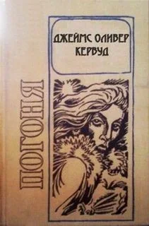 Погоня