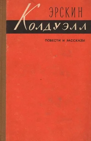 Полевые цветы