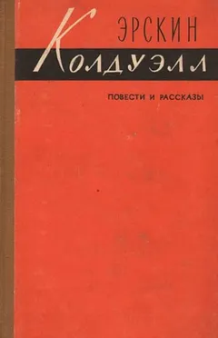 Полевые цветы