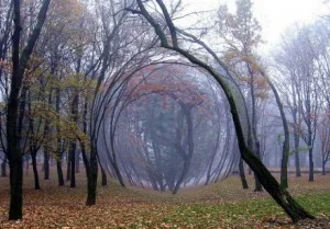 После Армагеддона