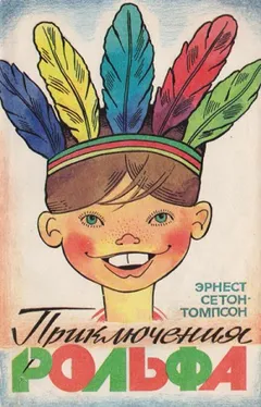 Приключения Рольфа / Рольф в лесах