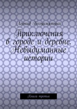 Приключения в городе и деревне. Невыдуманные истории