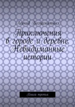 Приключения в городе и деревне. Невыдуманные истории