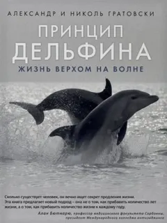 Принцип дельфина жизнь верхом на волне