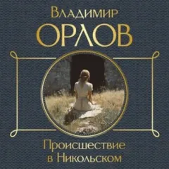 Происшествие в Никольском