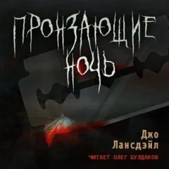 Пронзающие ночь