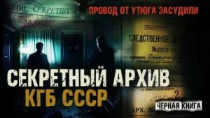 Провод от утюга засудили