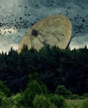 Птичьи стаи