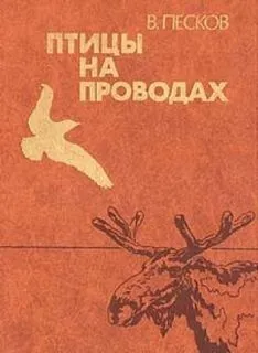 Птицы на проводах