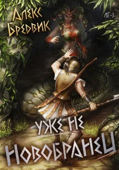 RPG: Уже не новобранец. Том 3