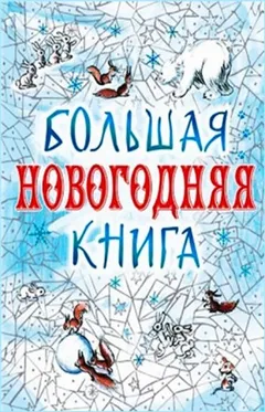 Сборник "Большая Новогодняя книга. 15 историй под Новый год и Рождество"