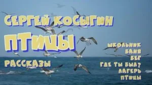 Сборник рассказов