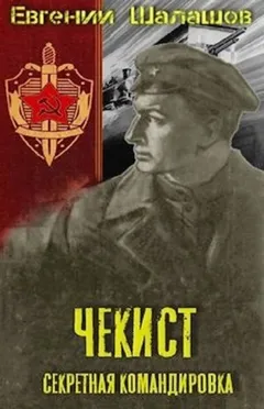 Секретная командировка