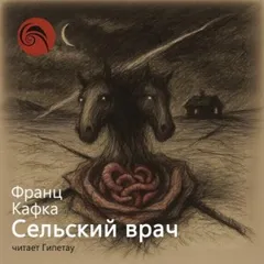 Сельский врач