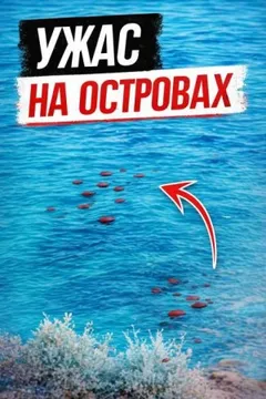 Смерть у скал