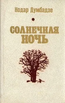 Солнечная ночь