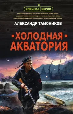 Спецназ Берии. Максим Шелестов: 7. Холодная акватория