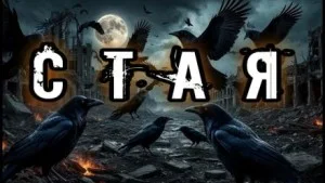 Стая