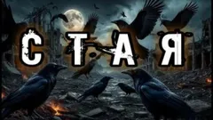 Стая