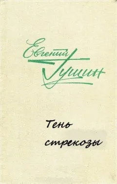 Тень стрекозы