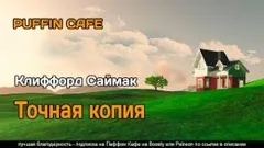 Точная копия