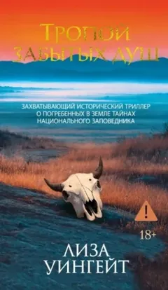 Тропой забытых душ