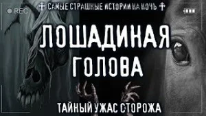 Ужас сторожа. Лошадиная голова