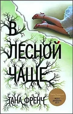 В лесной чаще