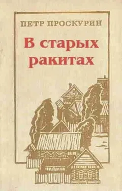 В старых ракитах