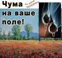 Веревкин. Чума на ваше поле!