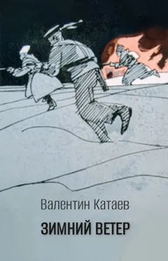 Волны Чёрного моря: 3. Зимний ветер