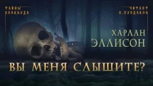 Вы меня слышите?
