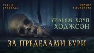 За пределами бури