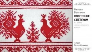 Записки юного врача: 1. Полотенце с петухом