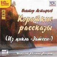 Затеси