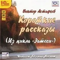 Затеси