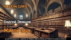 Живой звук