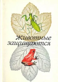Животные защищаются. Набор открыток