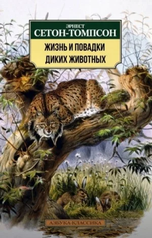 Жизнь и повадки диких животных
