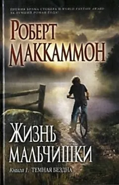 Жизнь мальчишки