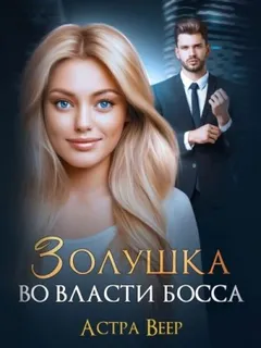 Золушка во власти босса