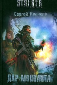 S.T.A.L.K.E.R. Дар Монолита